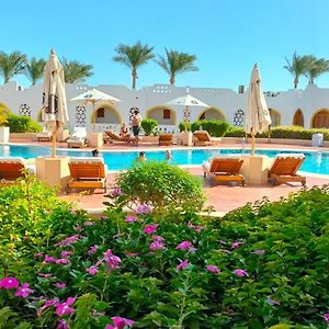 Domina Coral Bay Prestige